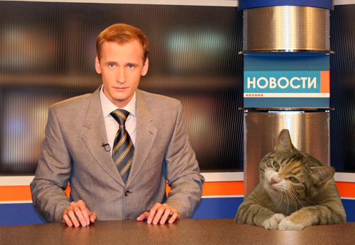 Фотожаба "Кот-коммерсант"