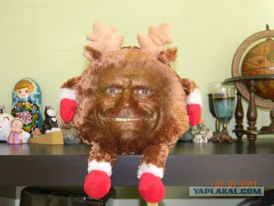 Накачанный зверь
