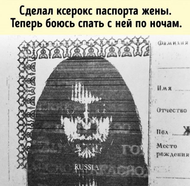 Чепухень на каждый день