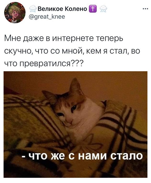 Алкопост 19.12.20