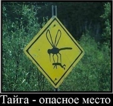 Чем закончилась немецкая операция «Ульм» по заброске диверсантов на Урал?