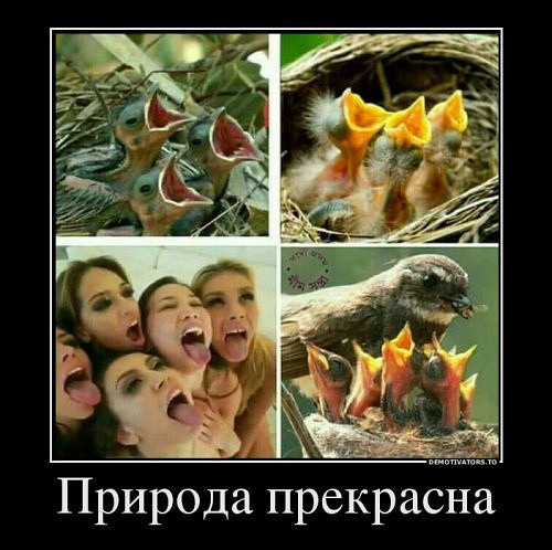 Фу, пошлятина одна