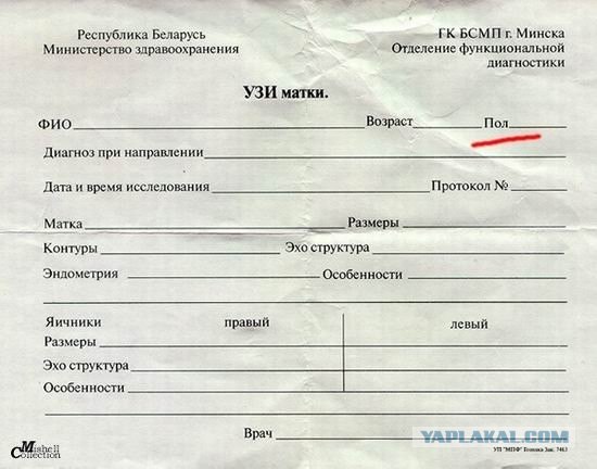 Песня белорусского рубля на допсессии (Б. Гребенщи