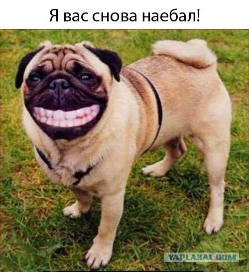 Как умер Гуф