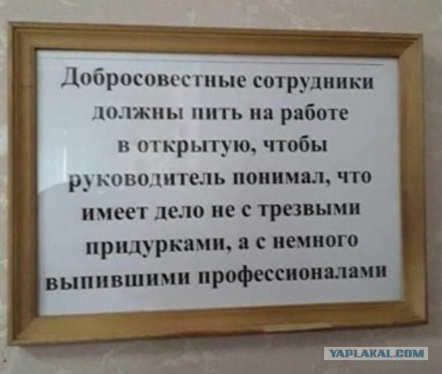 Весёлый полтишок 28.03