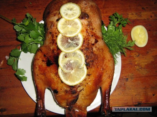 Утка по Дженибековски