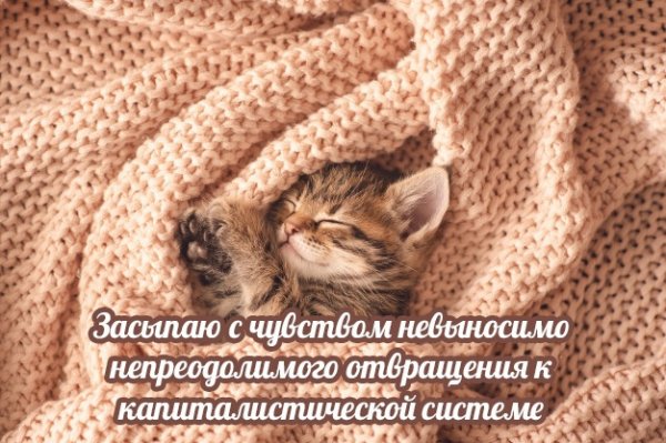 Прикольные и просто красивые картинки 04.08.2021