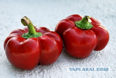 Острый перец или деформация вкуса