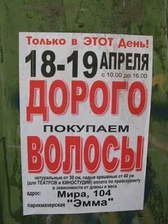 Властелину колец 20 лет: неизвестные факты о съемках трилогии