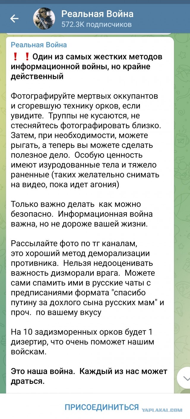 Гордон - украинцам: Ребята, мы побеждаем и мы победим!