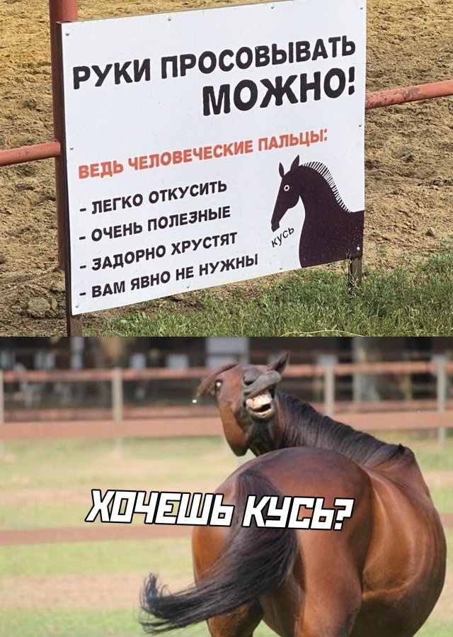 Так себе картинки 15.06.22