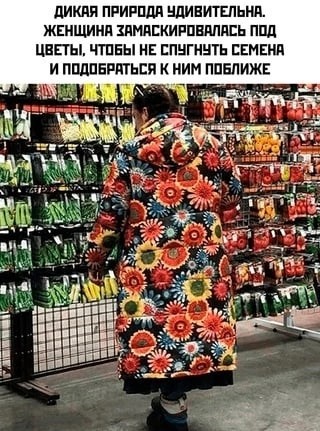 Нуштош 16.03.23