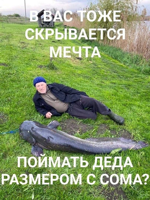 Всего понемногу. Пятничный