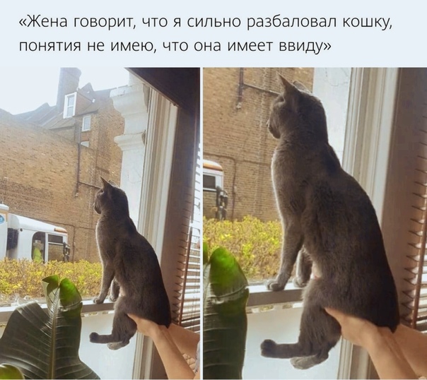 Народная меДИЧина 7034