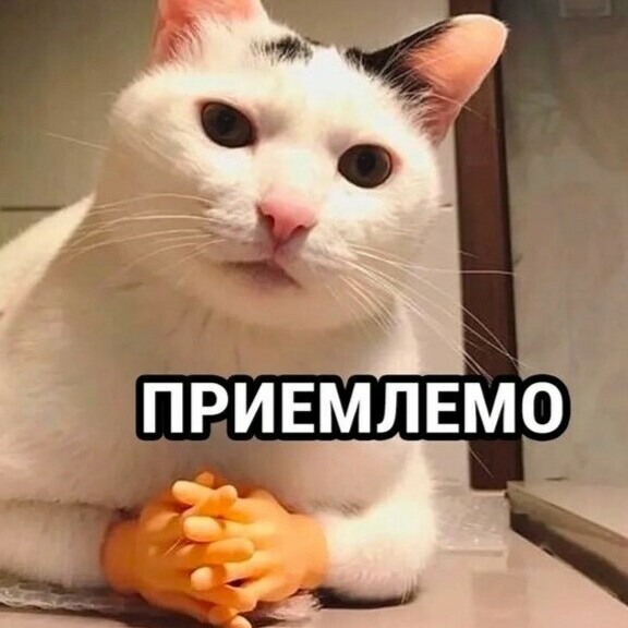 Завтрак должен быть в желудке