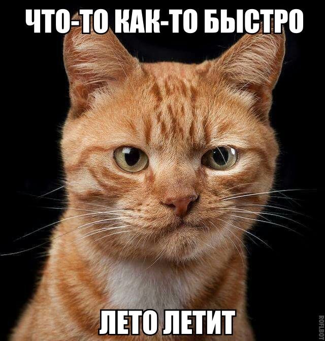Тринадцатая подборка самых баянистых баянов! Ностальгируем...