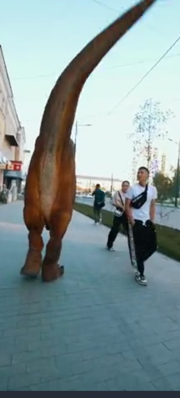 Саечка за испуг!