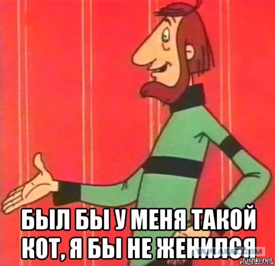 Самый большой в мире кот живет в России — познакомьтесь с мейн-куном по имени Кефир