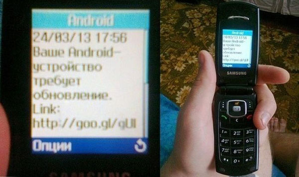 Свеженькие бояны