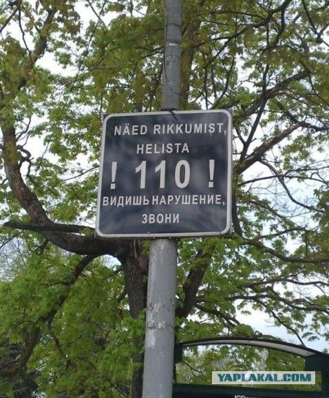 Большая разница