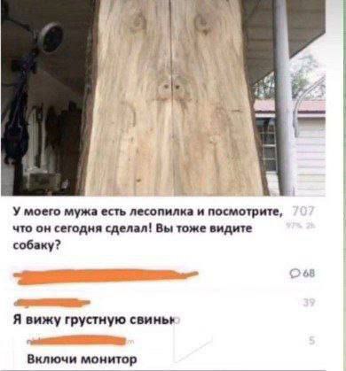 Сборник бабаянов или неожиданная помойка от Неждалигады