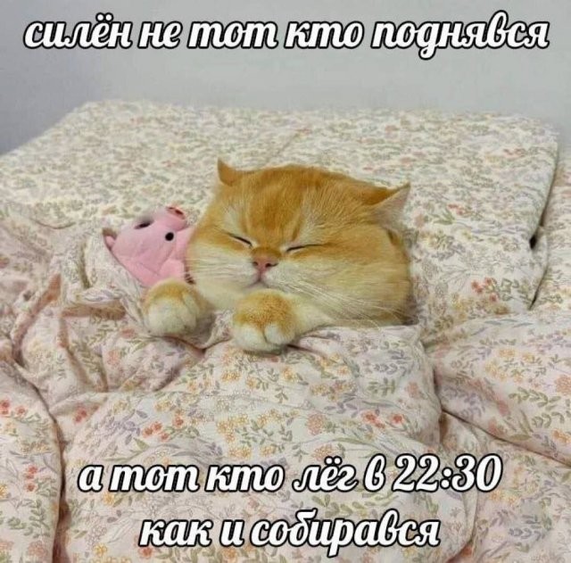 Так себе картинки 02.09.24