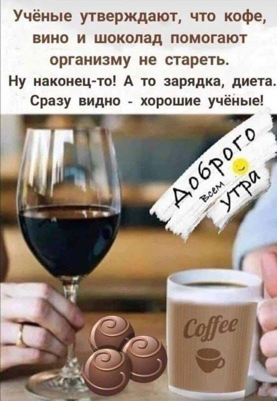 Немного забавных картинок от 07.09.24