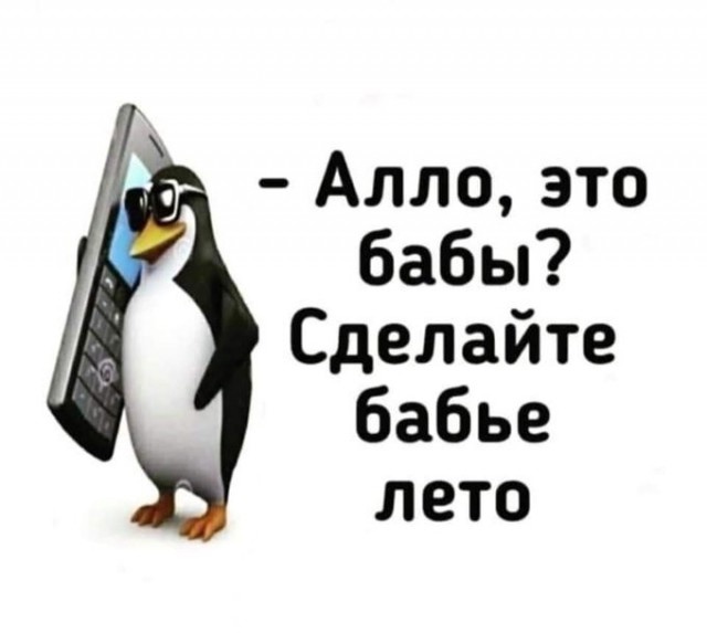 19416093.jpg