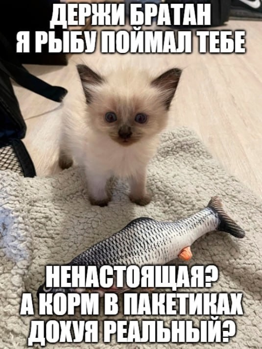 Веселые картинки к понедельнику (23.09)