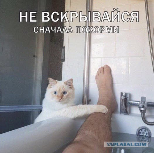 Завалялось тут случайно немного забавных картинок