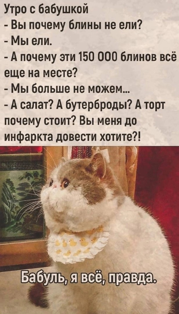 К котовторнику: подборка картинок-баянов с котиками и про котиков. Выпуск 12