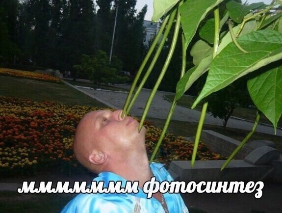 Пятничная дичь