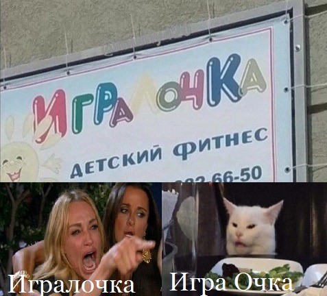 Знаменитый кот