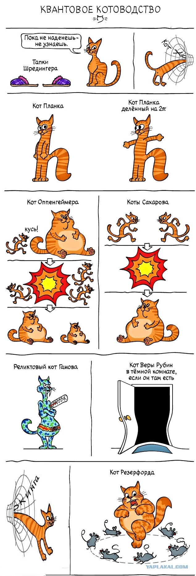 Хроники погибшего мира: конкурс рассказов