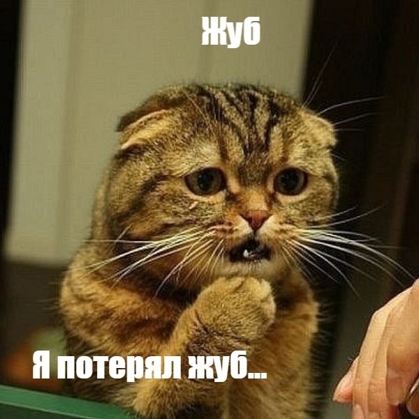 Картинки для деградации 11 (разной степени свежести)