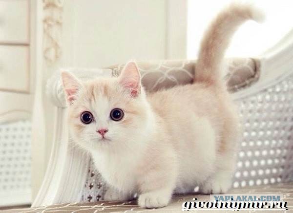 Дай мне маленький кусочек! Маааленький