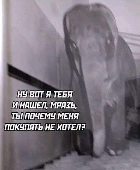Маленькая пятница 10.09
