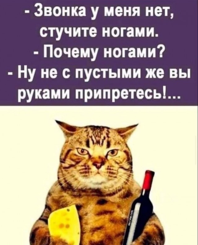 К котовторнику: подборка картинок-баянов с котиками и про котиков. Выпуск 20.