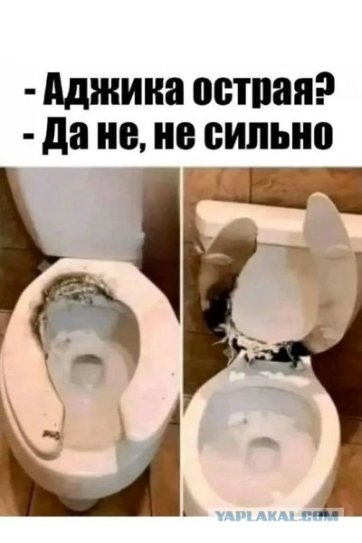 Сундук деграданта! Выпуск номер 11!
