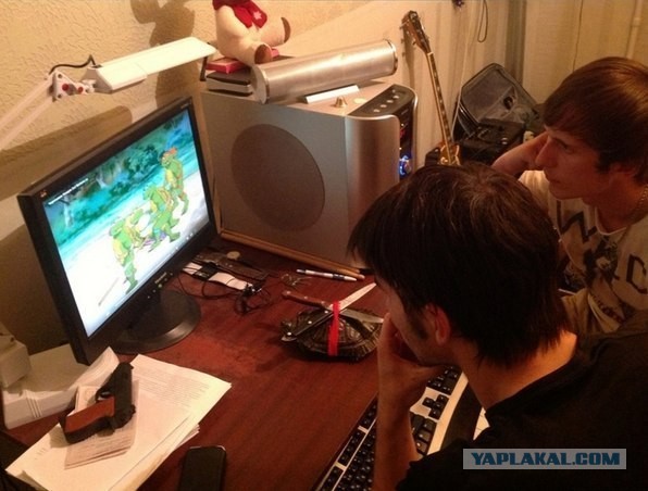 День рожденья черепашки