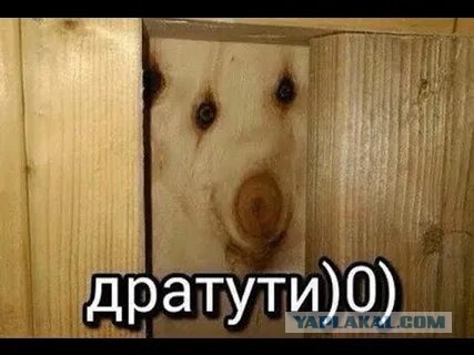 Очевидцы засняли появление лица святого в тканях алтаря в храме Лас-Вегаса