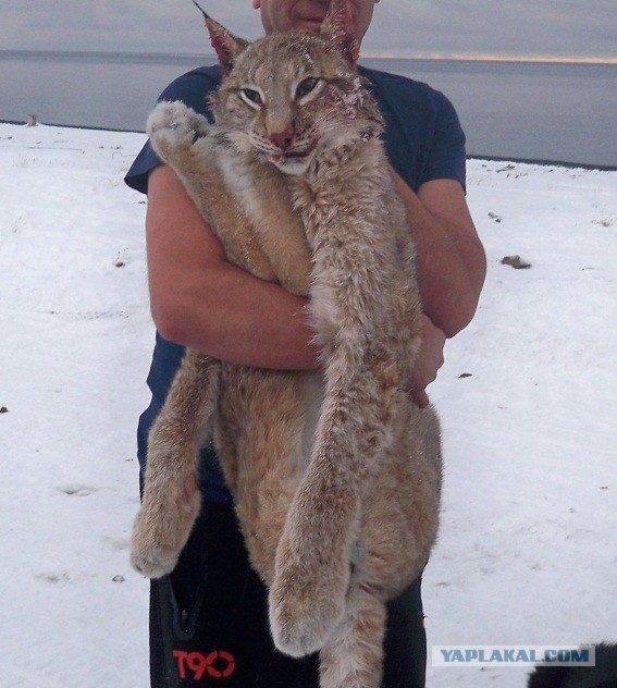 Cтанция Валькаркай