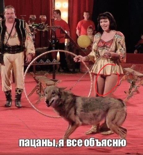 Картинки для деградации 126 (разной степени свежести)