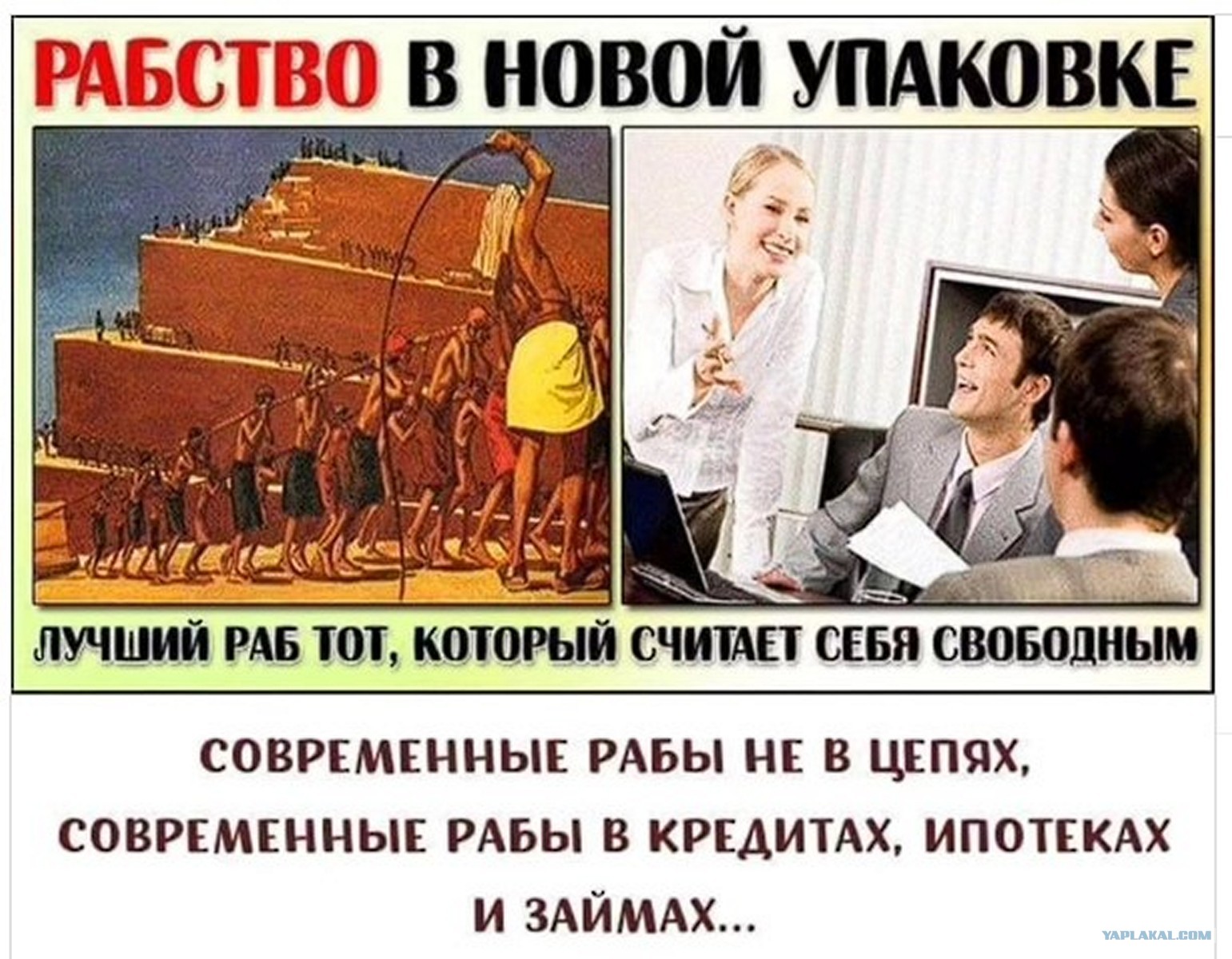 Братская забота перешла все границы поработив щели сестрицы