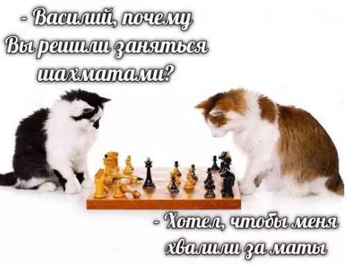 Картиночки, баянчики 14 марта