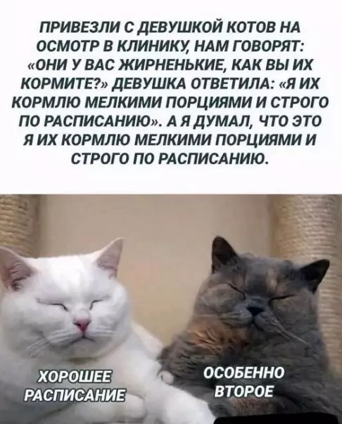 Картиночки, баянчики 29 марта
