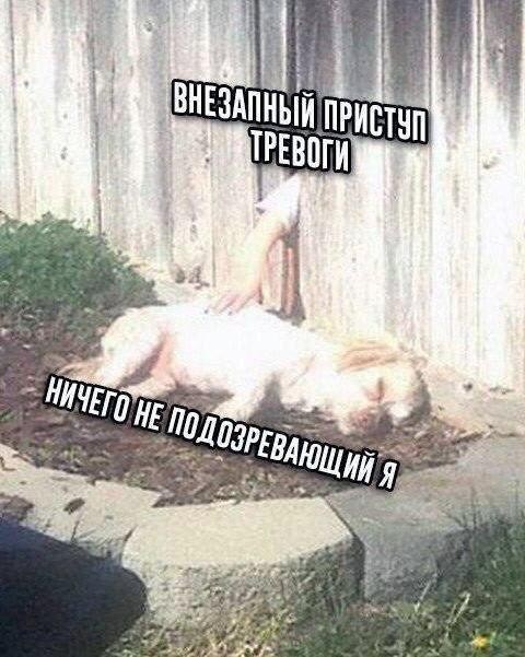 Картинки для деградации 186 (разной степени свежести)