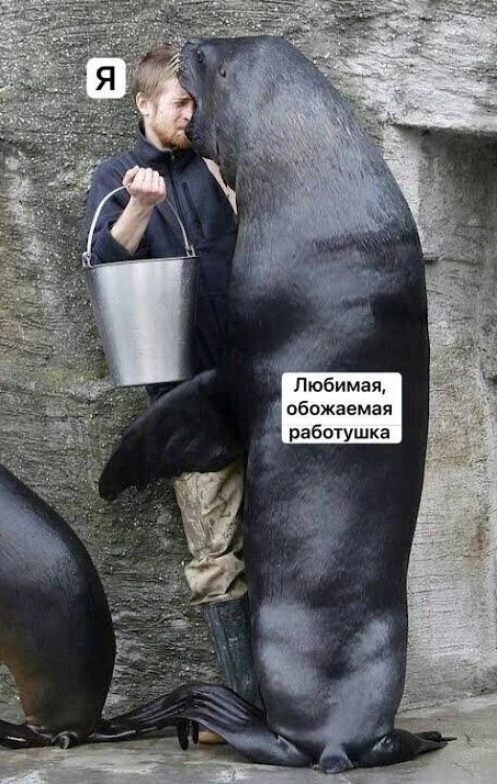 Картиночки, баянчики 09 июня
