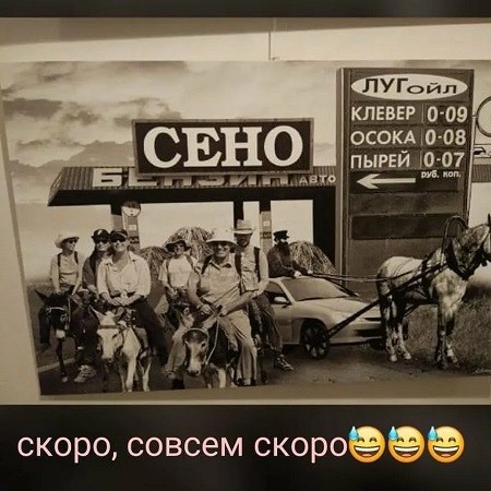 Переходим на гужевой транспорт?