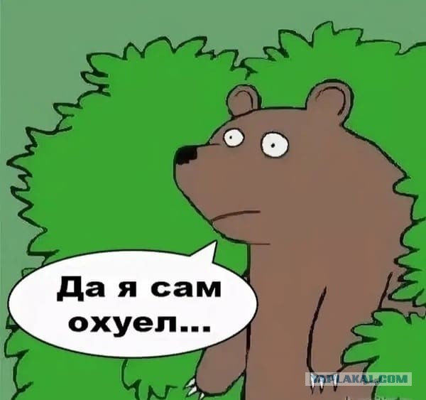 В России хотят сажать на 6 лет за оскорбление женщин «разведёнкой с прицепом»